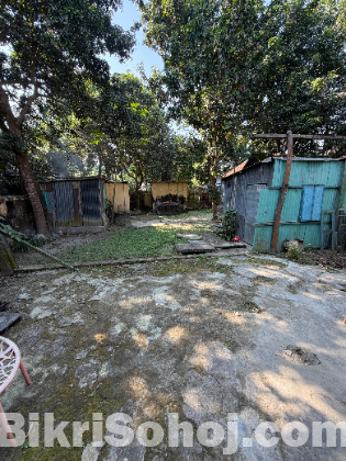 ১৩ শতক বাড়ির একাংশ জমি বিক্রি